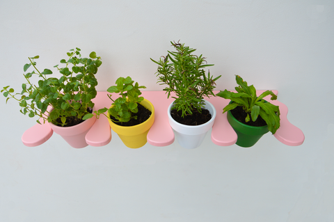 Eve the garden shelf with pot included