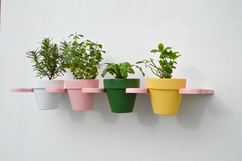 Eve the garden shelf with pot included