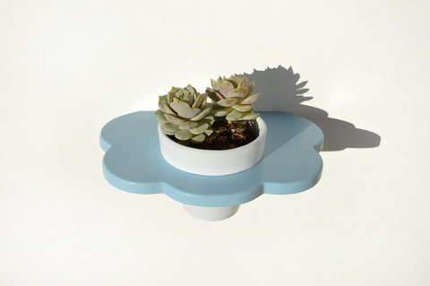 Flora Plant Shelf with Pot