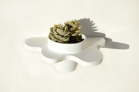 Ivy Abstract Plant Shelf with Pot