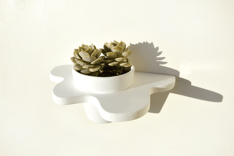 Ivy Abstract Plant Shelf with Pot