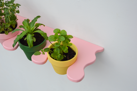 Eve the garden shelf with pot included