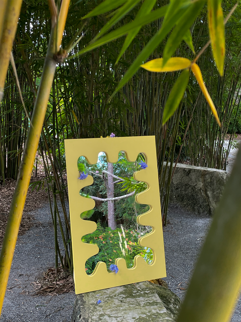 Heliconia Curvy Mirror