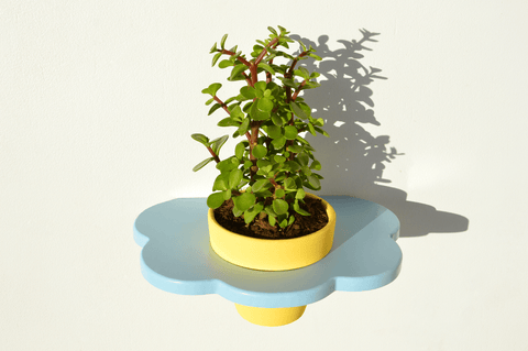 Flora Plant Shelf with Pot