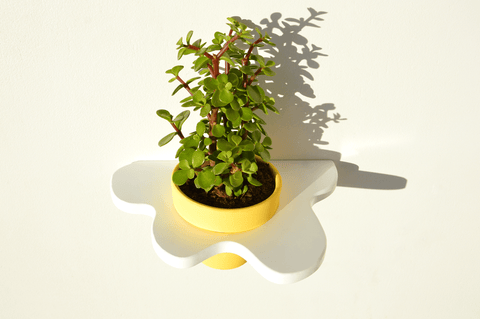 Ivy Abstract Plant Shelf with Pot